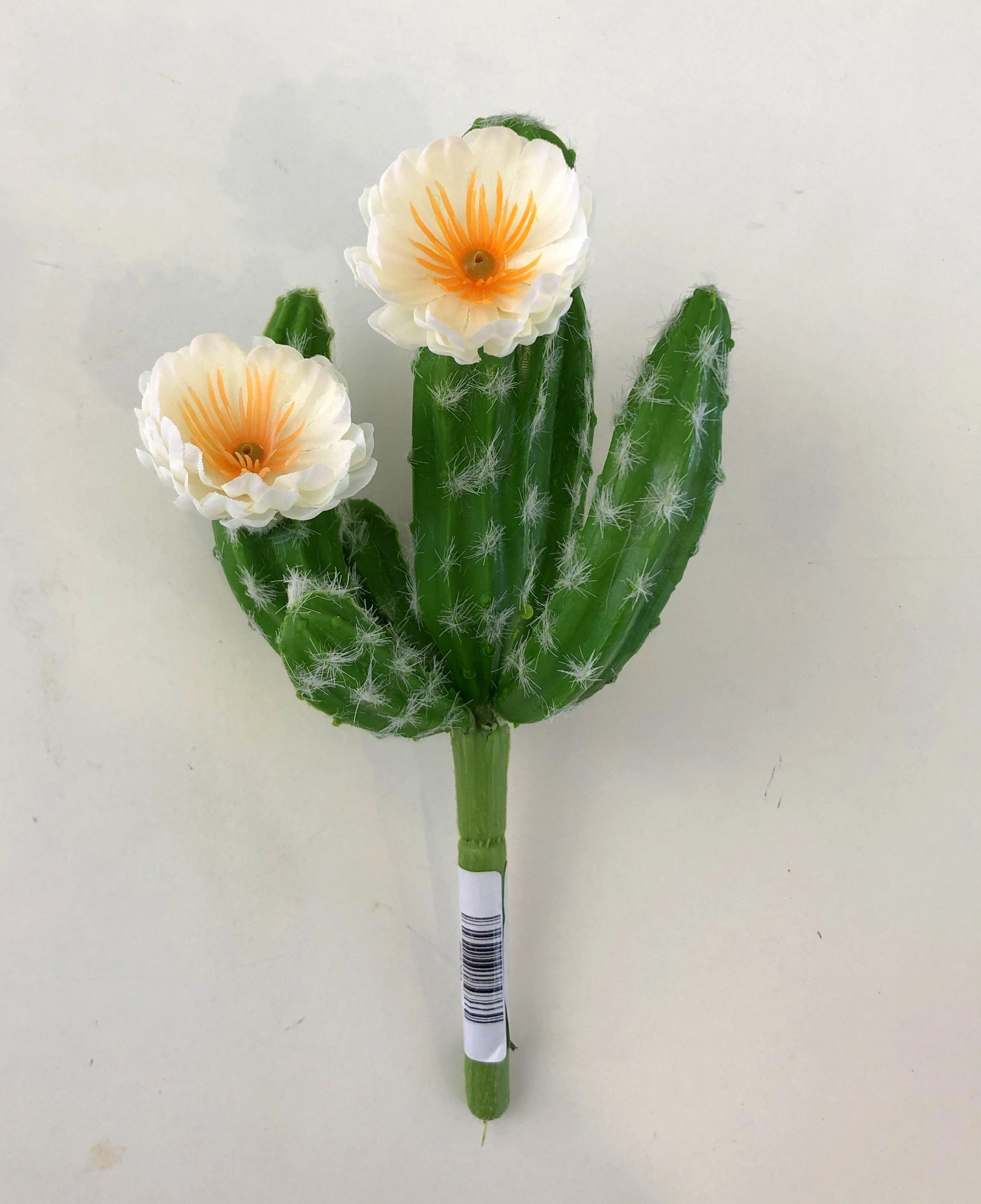 SP0281 Finger Cactus with Flowers 20cm