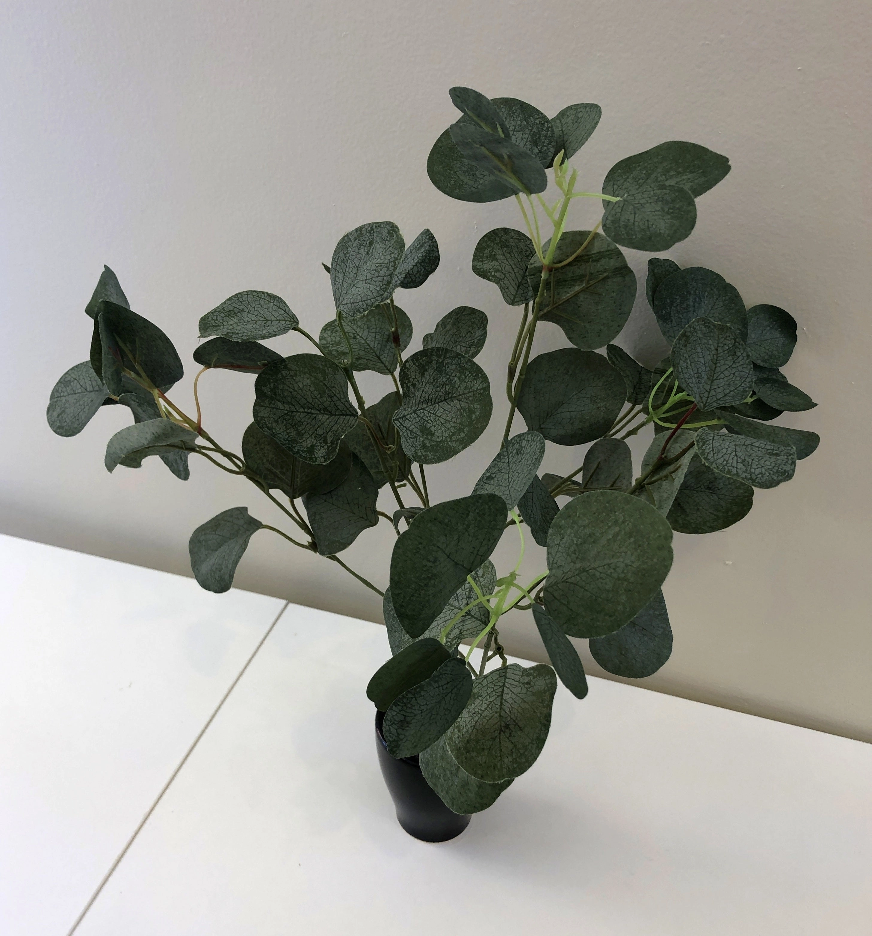 SP0283 Silver Dollar Eucalyptus Bunch 33cm