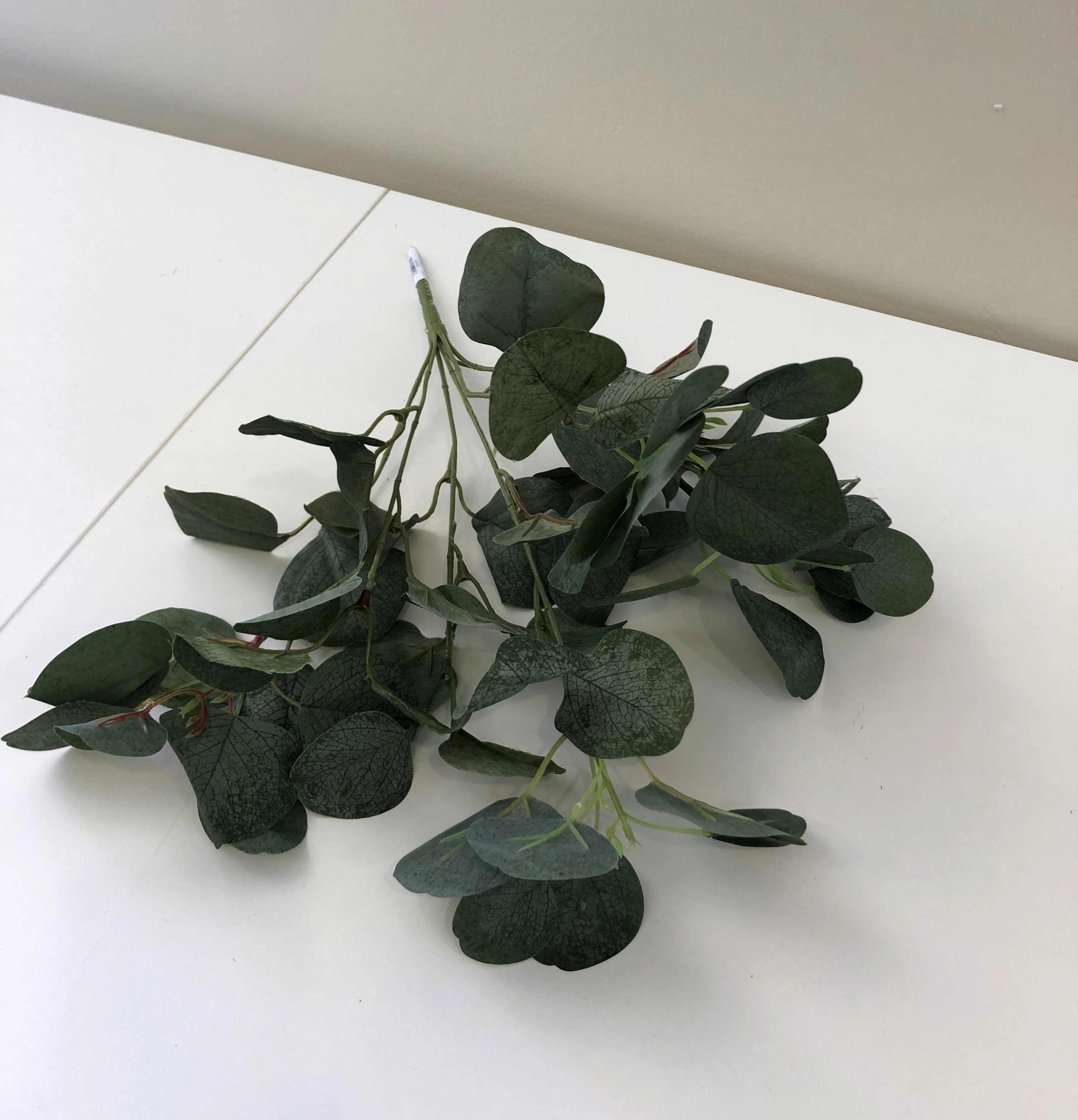 SP0283 Silver Dollar Eucalyptus Bunch 33cm