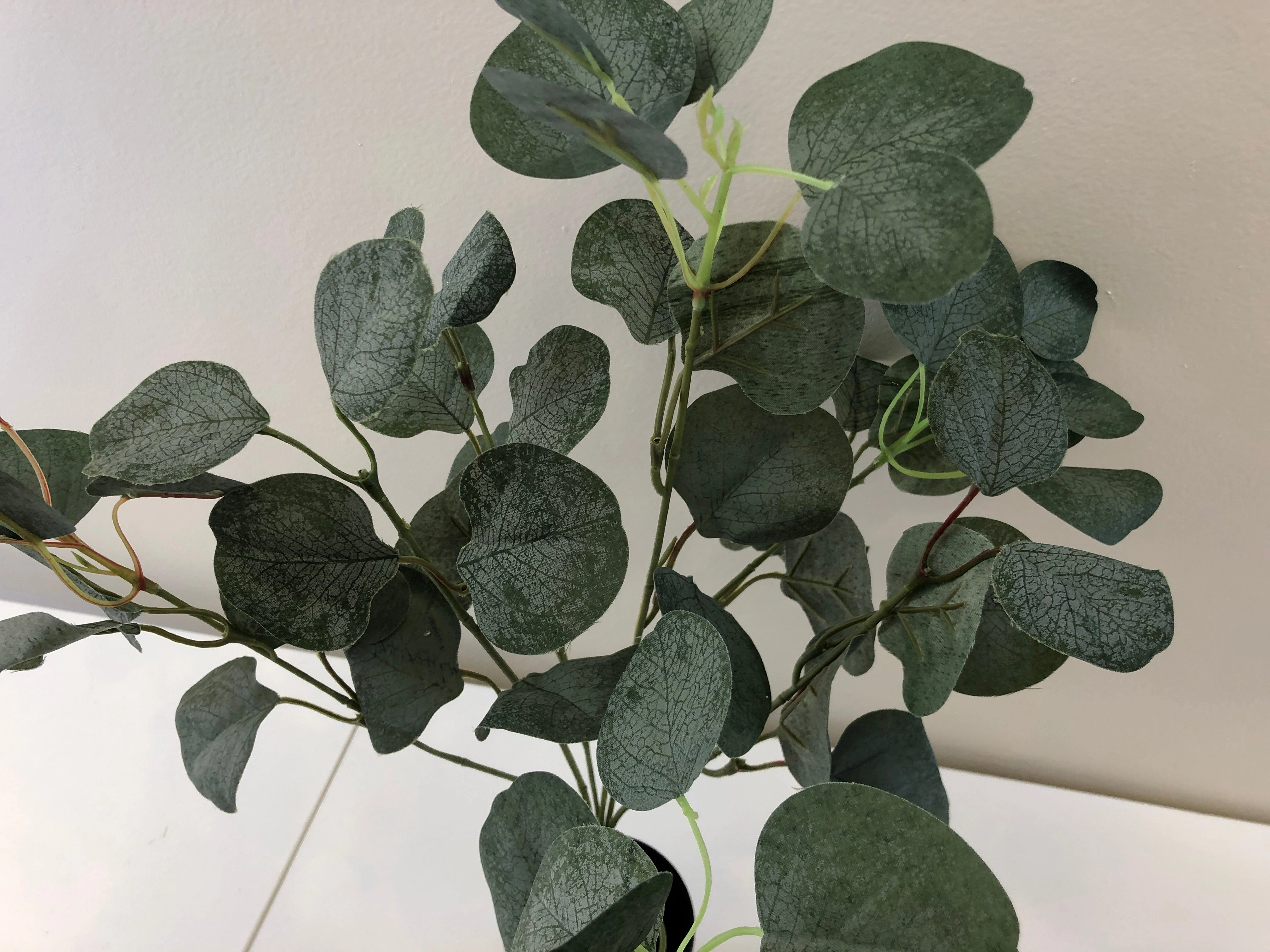 SP0283 Silver Dollar Eucalyptus Bunch 33cm