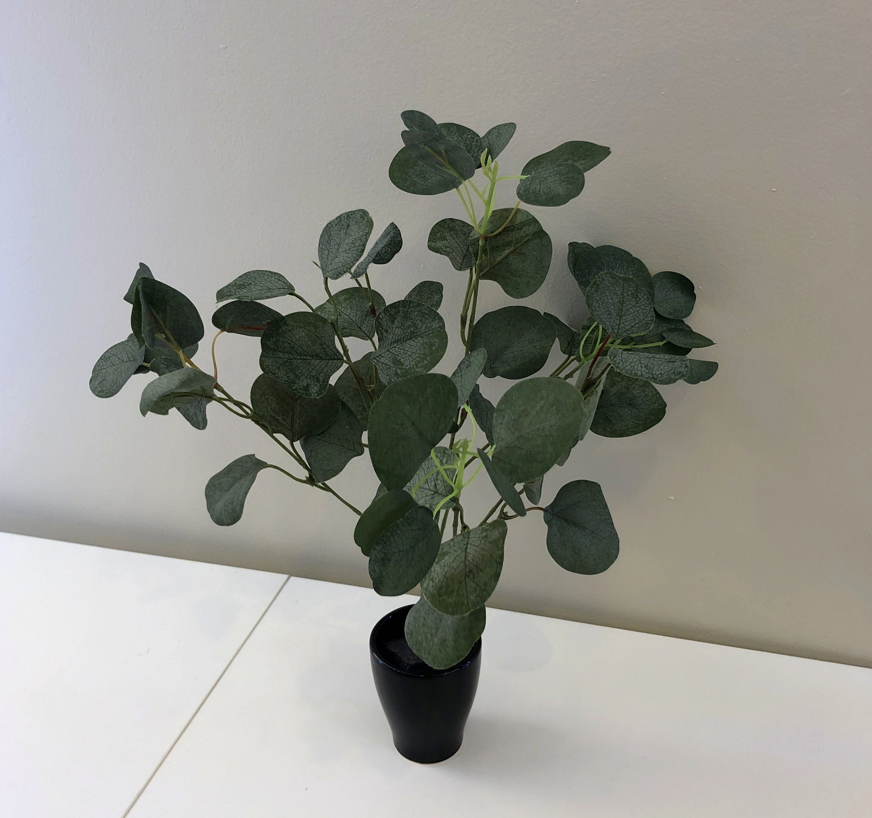 SP0283 Silver Dollar Eucalyptus Bunch 33cm
