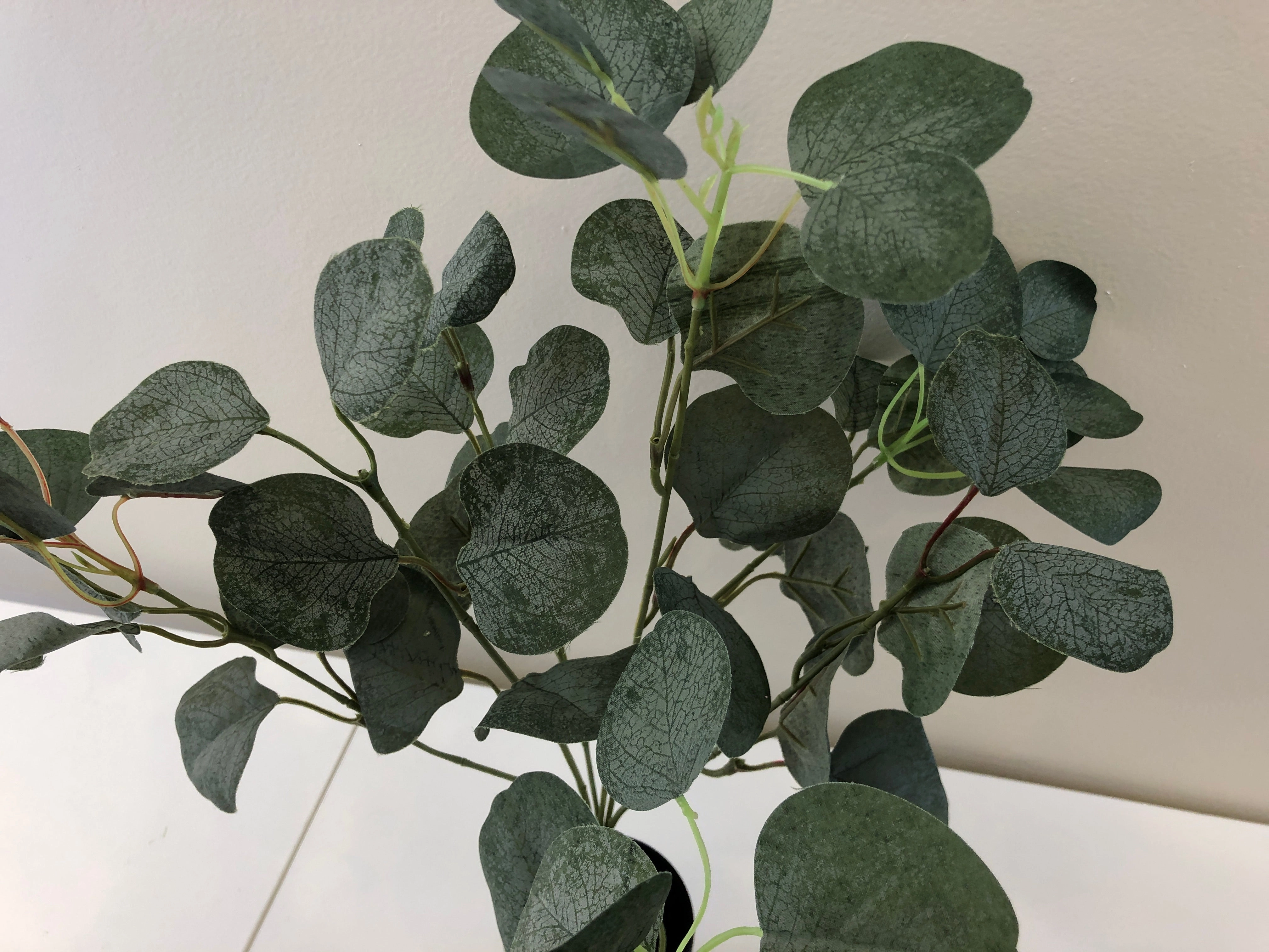 SP0283 Silver Dollar Eucalyptus Bunch 33cm