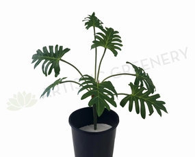 SP0292 Small Xanadu Plant 80cm Green indoor plant stand  