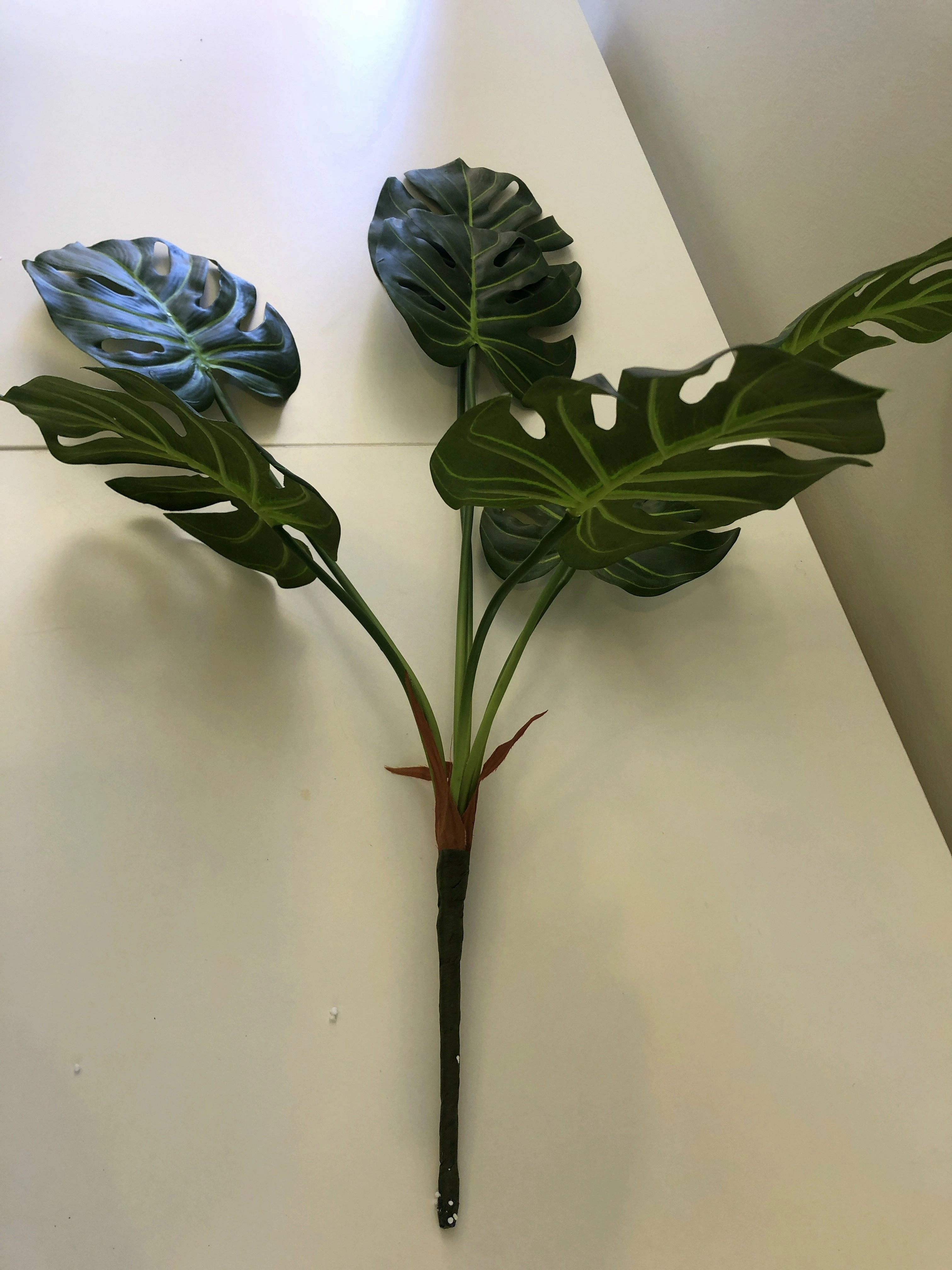 SP0293 Small Monstera Plant / Split Philo / Swiss Cheese Plant 74cm