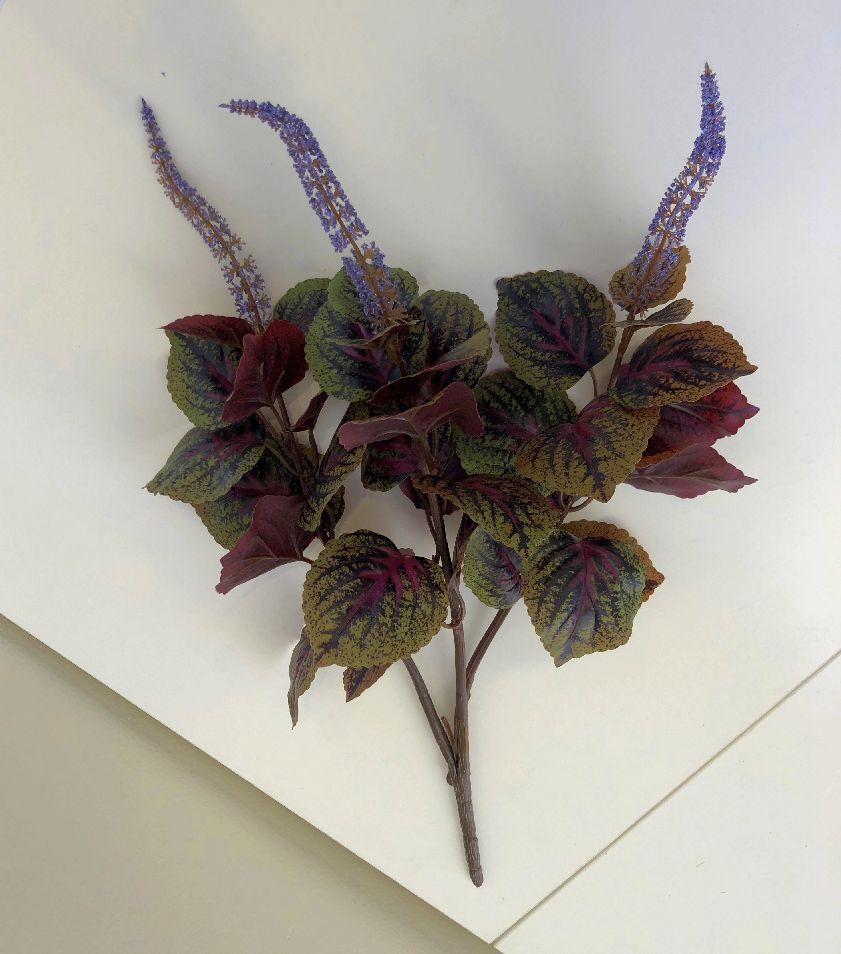 SP0296 Beefsteak Plant / Perilla Mint 51cm