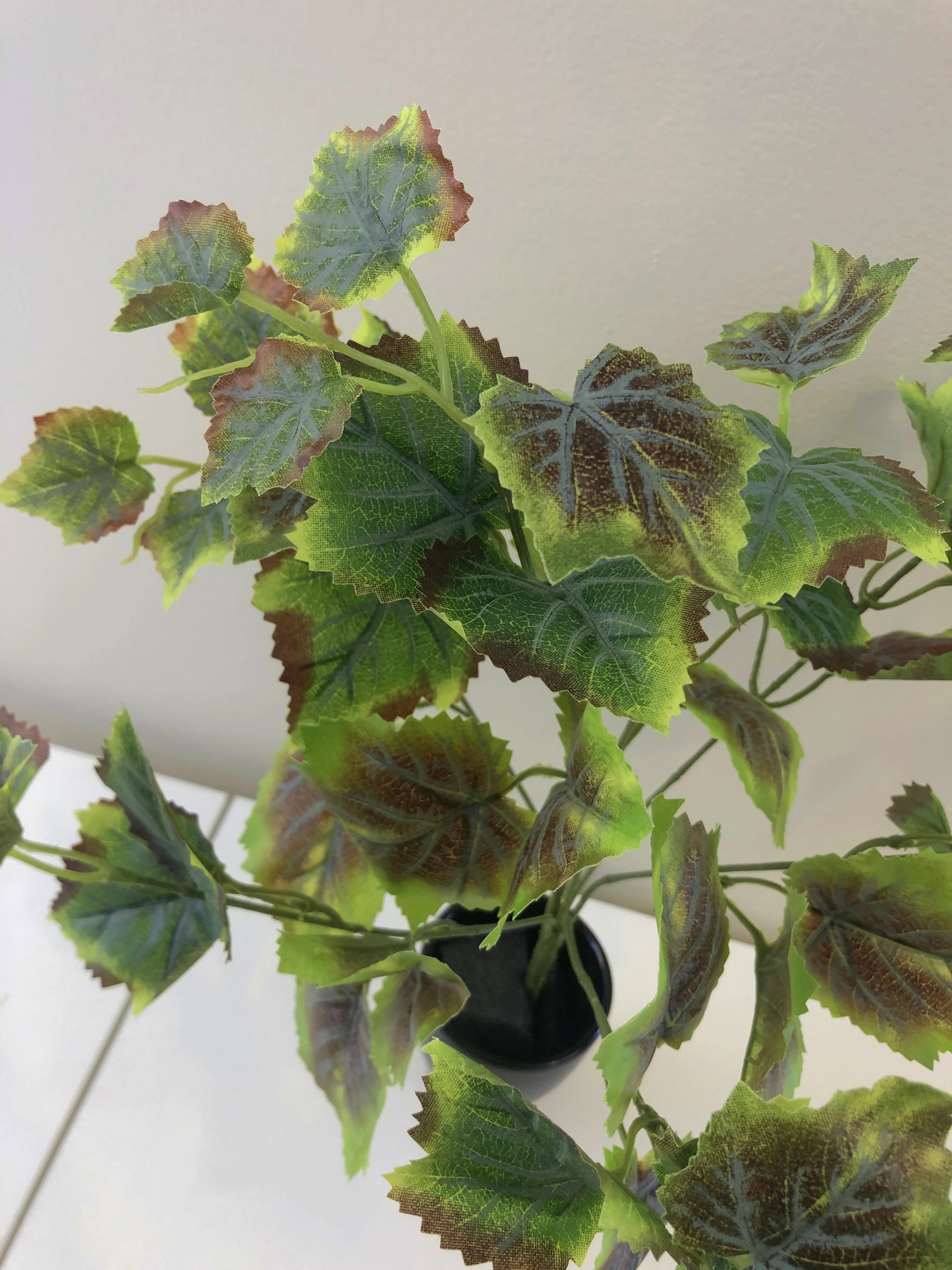 SP0297 Grape Vine Bunch 38cm