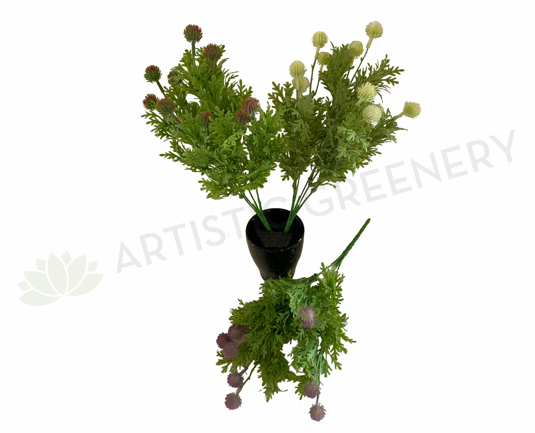 SP0299 Seedded Dusty Miller Bush 36cm 3 Styles xl flower pot  