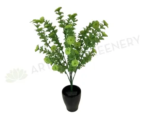 SP0305 Greenery Bunch 40cm CLEARANCE dried green plant  