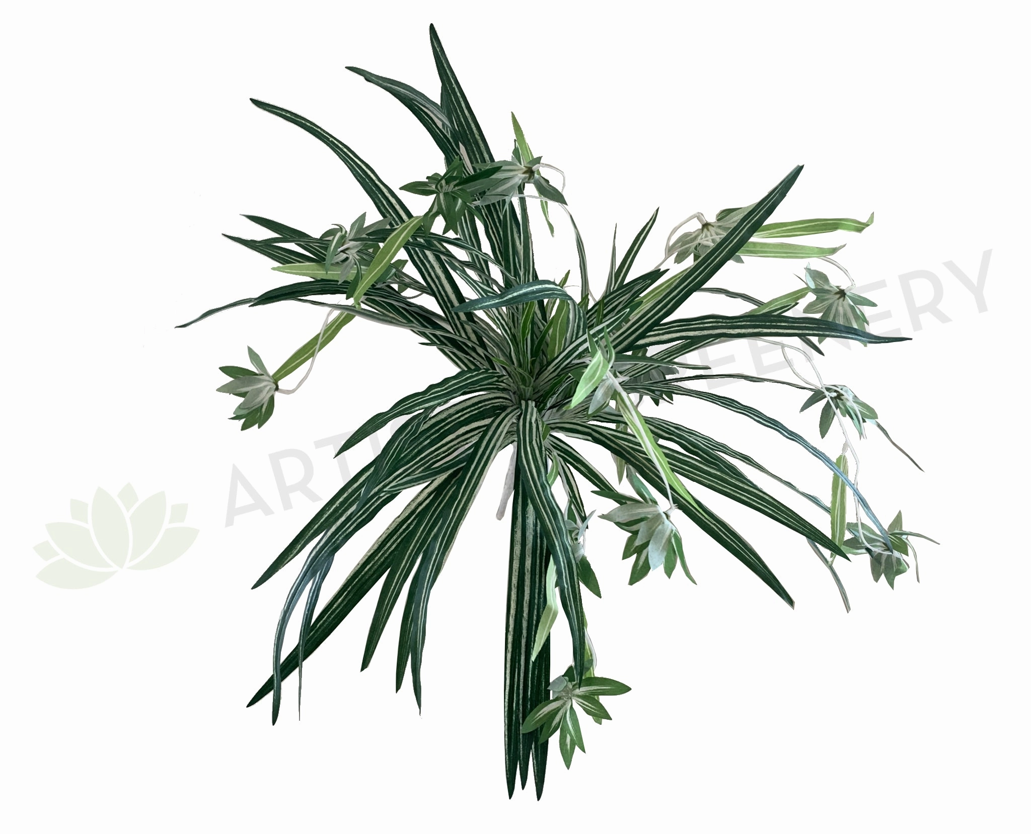 SP0310 Spider Plant 57cm xl flower pot  