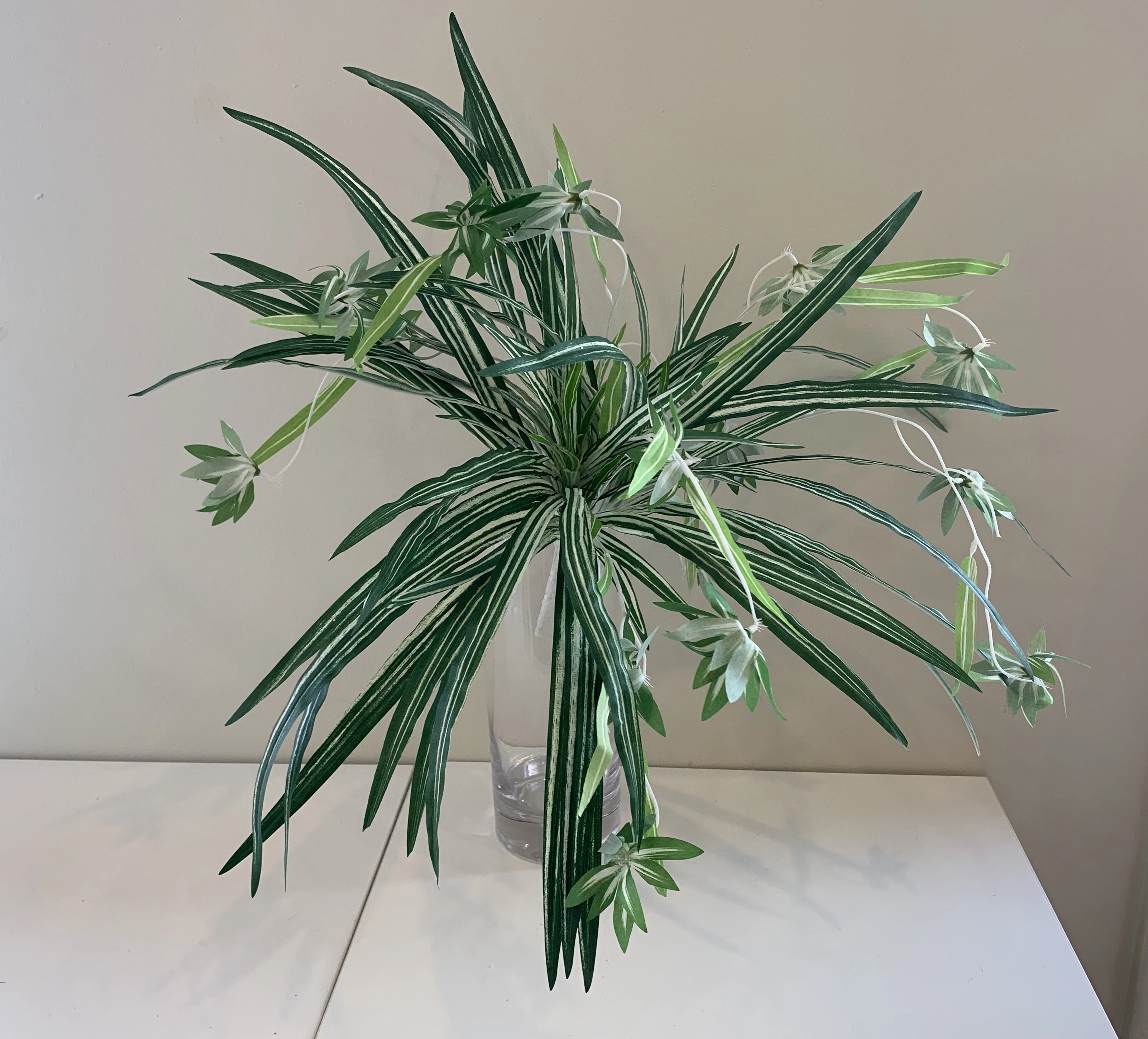 SP0310 Spider Plant 57cm