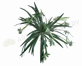 SP0310 Spider Plant 57cm xl flower pot  