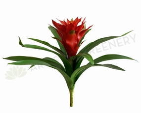 SP0311 Small Bromeliad Plant 50cm indoor plant stand  