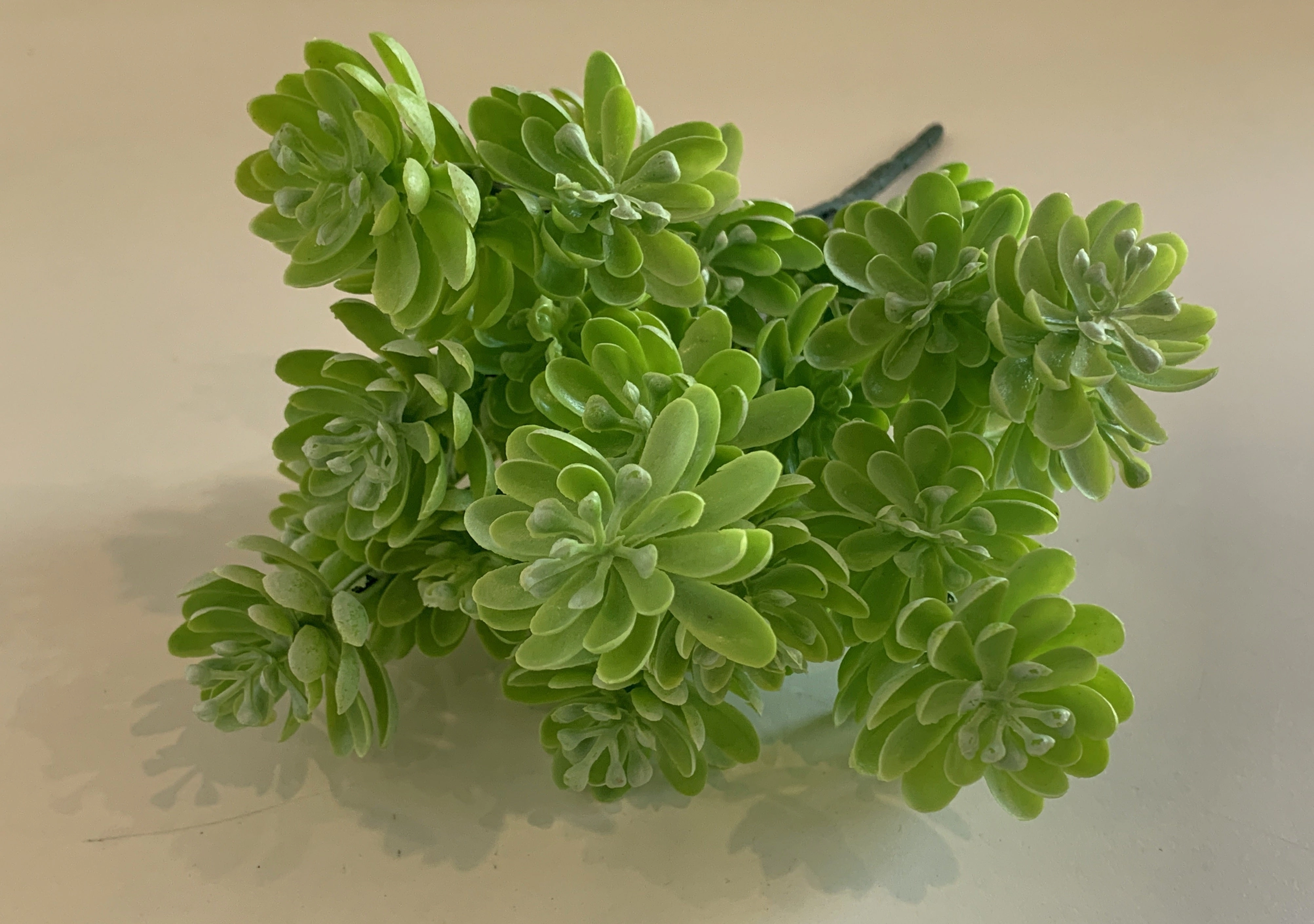 SP0313 Sedum Bunch 31cm 3 Styles