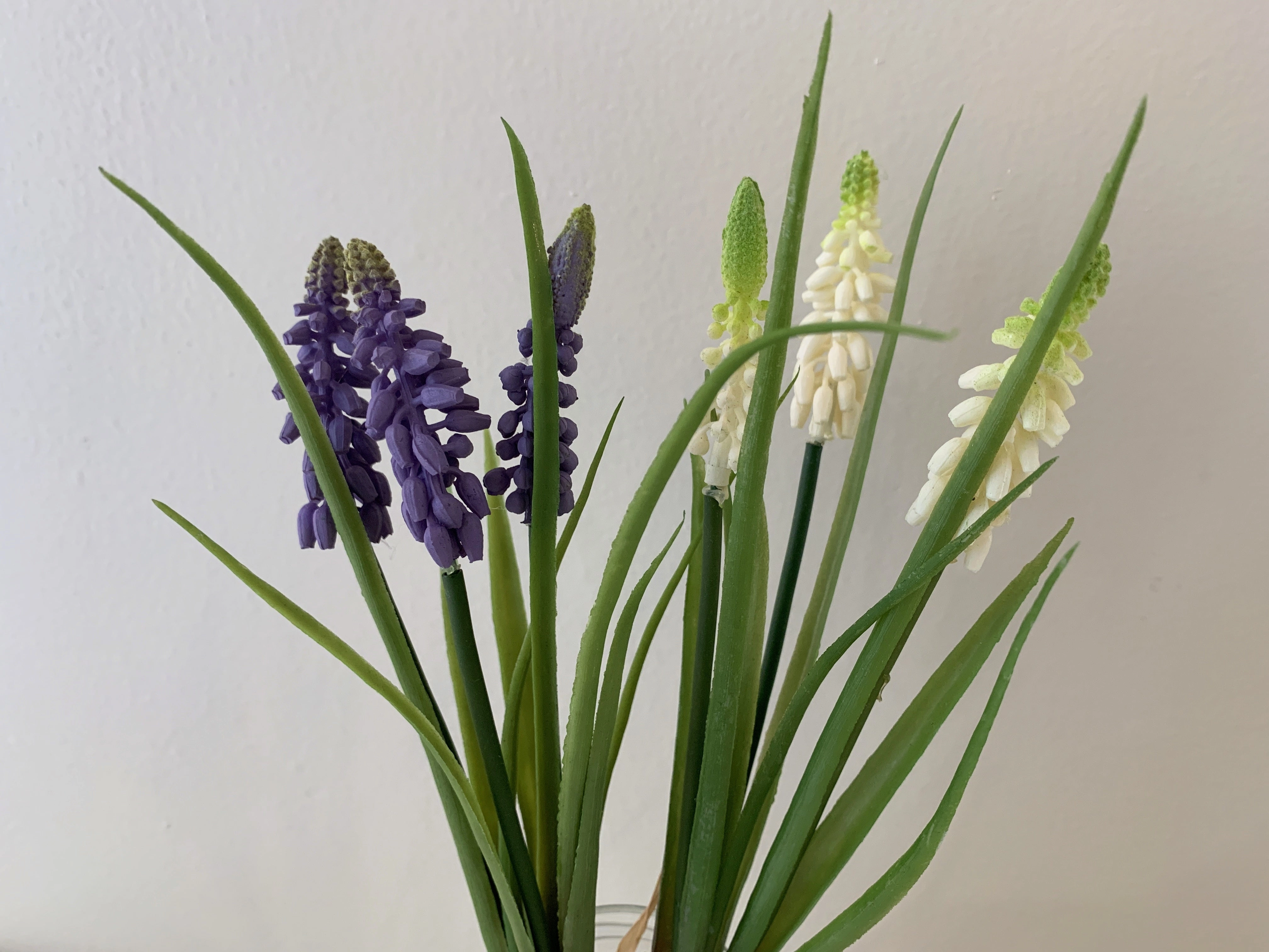 SP0320 Muscari 29cm Purple & White