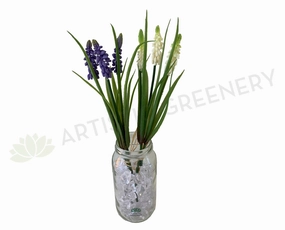 SP0320 Muscari 29cm Purple & White indoor houseplants  