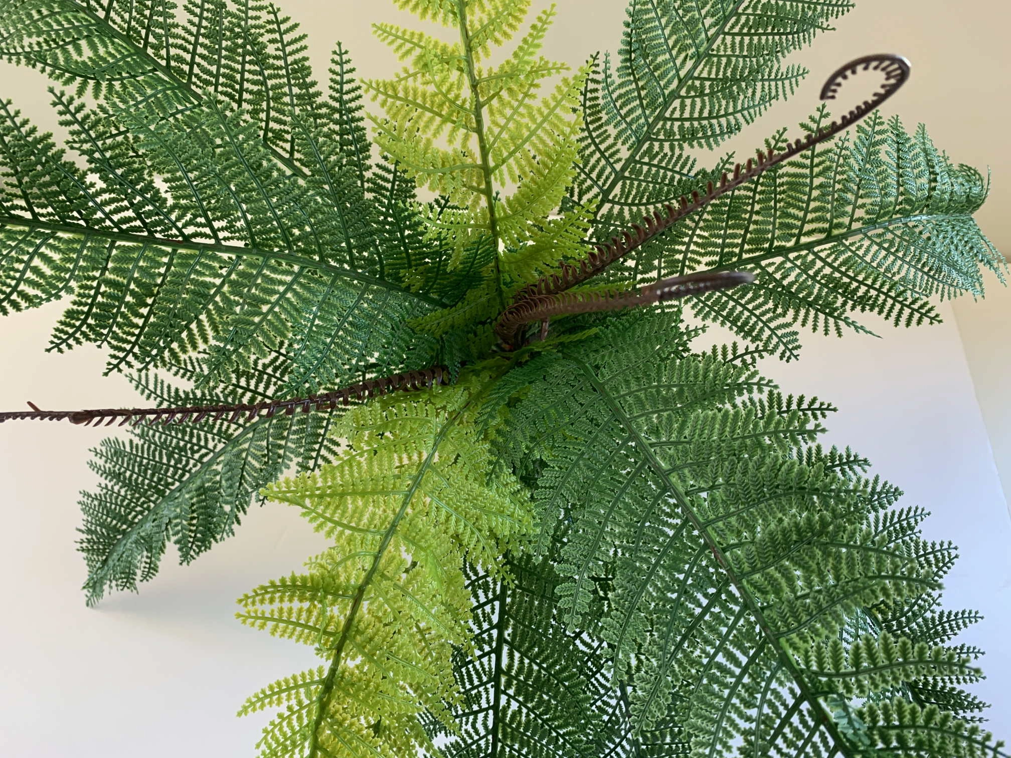 SP0324 Ultra Realistic Fern 53cm