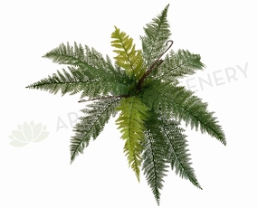 SP0324 Ultra Realistic Fern 53cm summer vegetable seed  