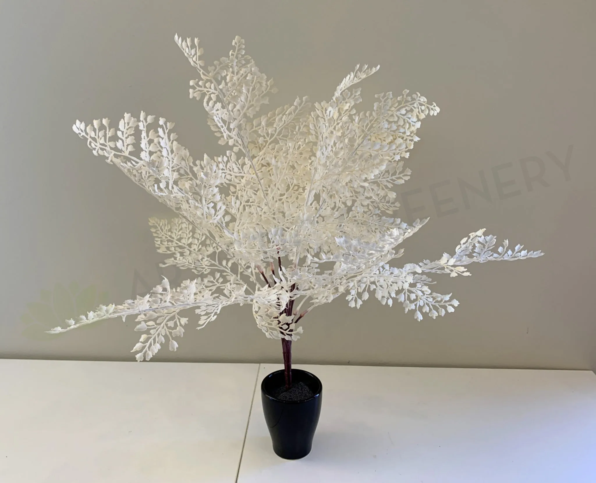 SP0325 Maidenhair Fern Leave Bunch 50cm Cream dried green plant  