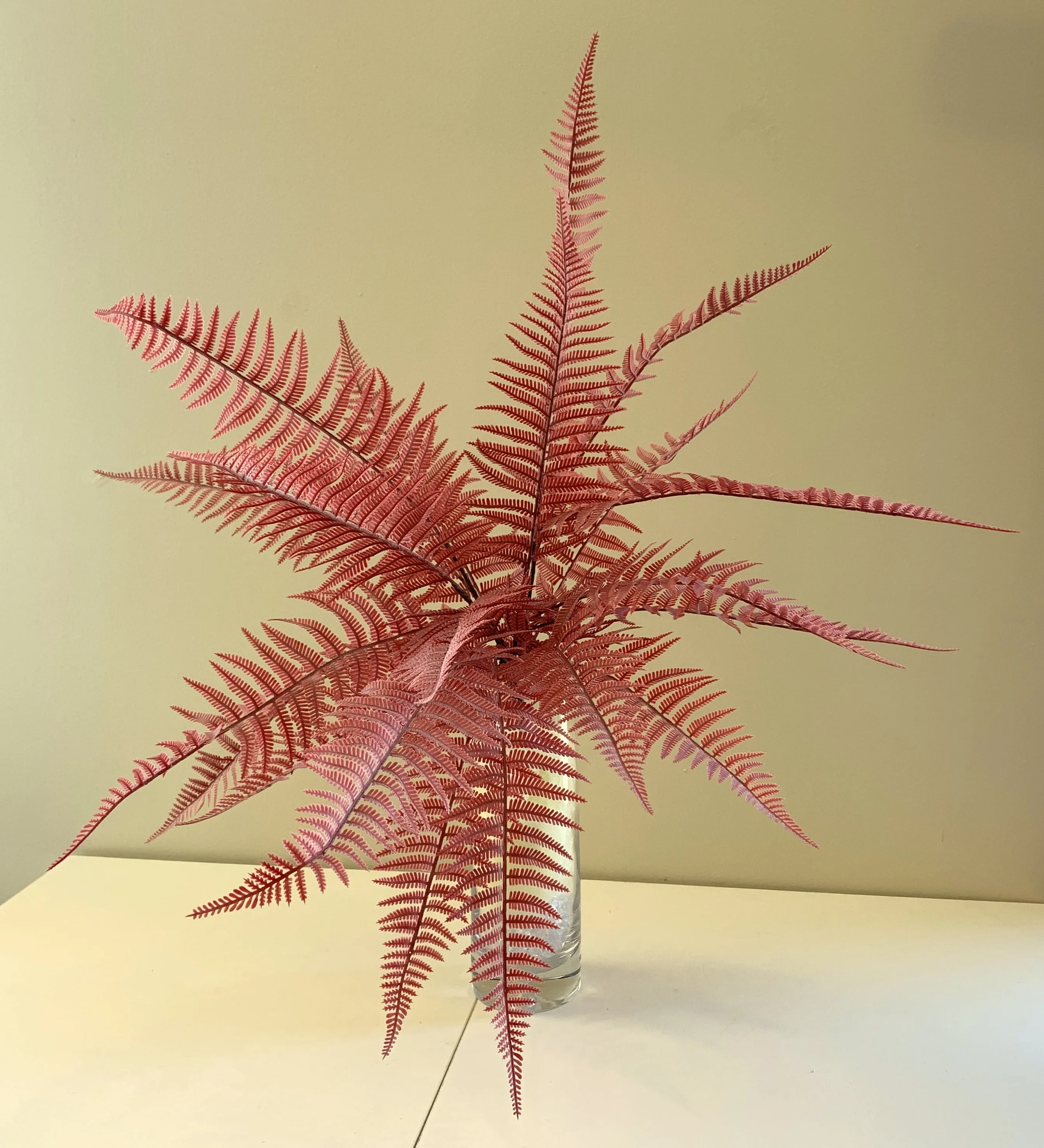 SP0326 Coloured Fern Bunch 65cm 3 Colours