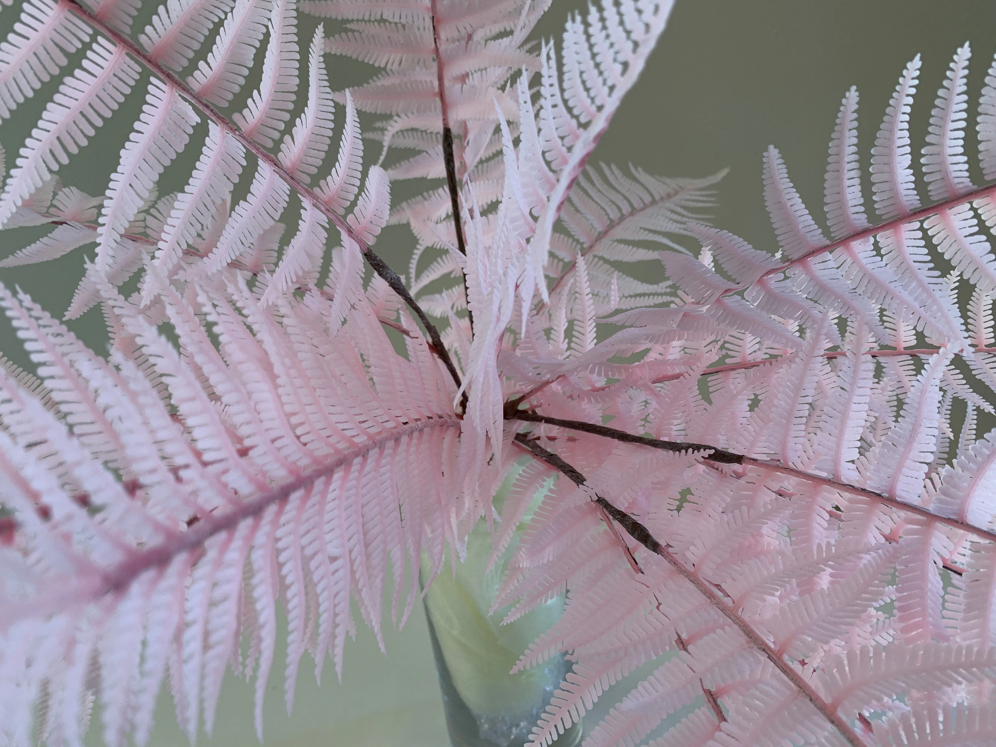 SP0326 Coloured Fern Bunch 65cm 3 Colours