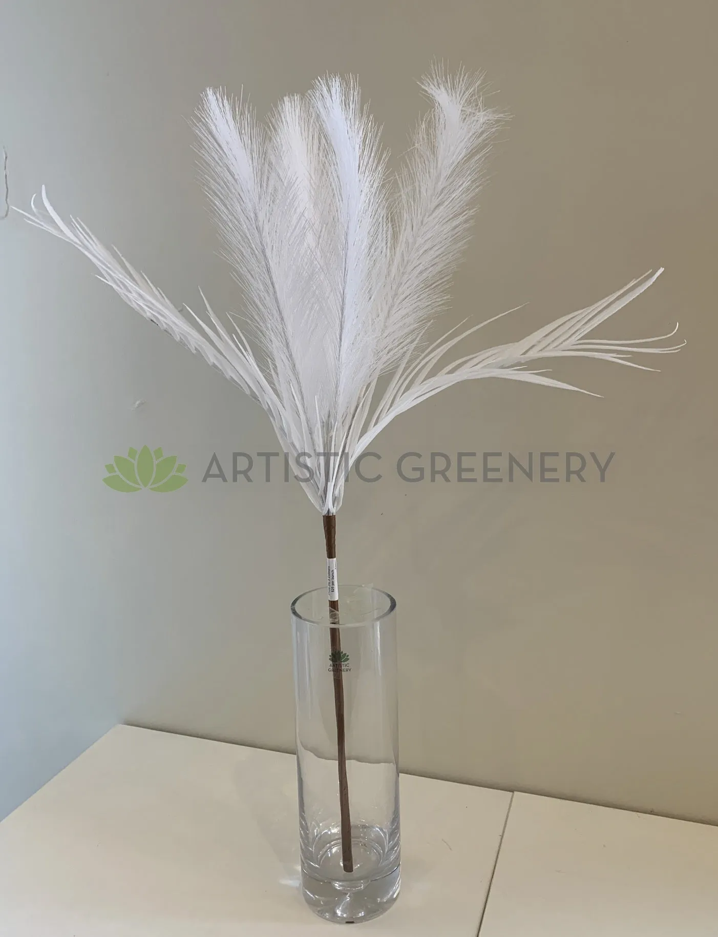 SP0327NEW Coloured Pampas Grass Bunch 77cm 3 Colours