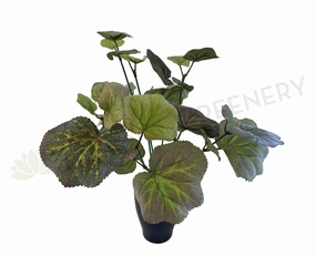 SP0328B Littleleaf Linden Plant (CLEARANCE STOCK) 35cm indoor plant stand  