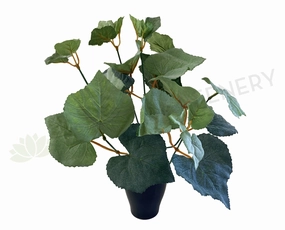 SP0328D Grape Vine Plant (CLEARANCE STOCK) 34cm indoor plant stand  