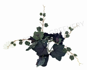 SP0329P Grape Vine Plant with Tendrils (CLEARANCE STOCK) 32cm Purple indoor plant stand  