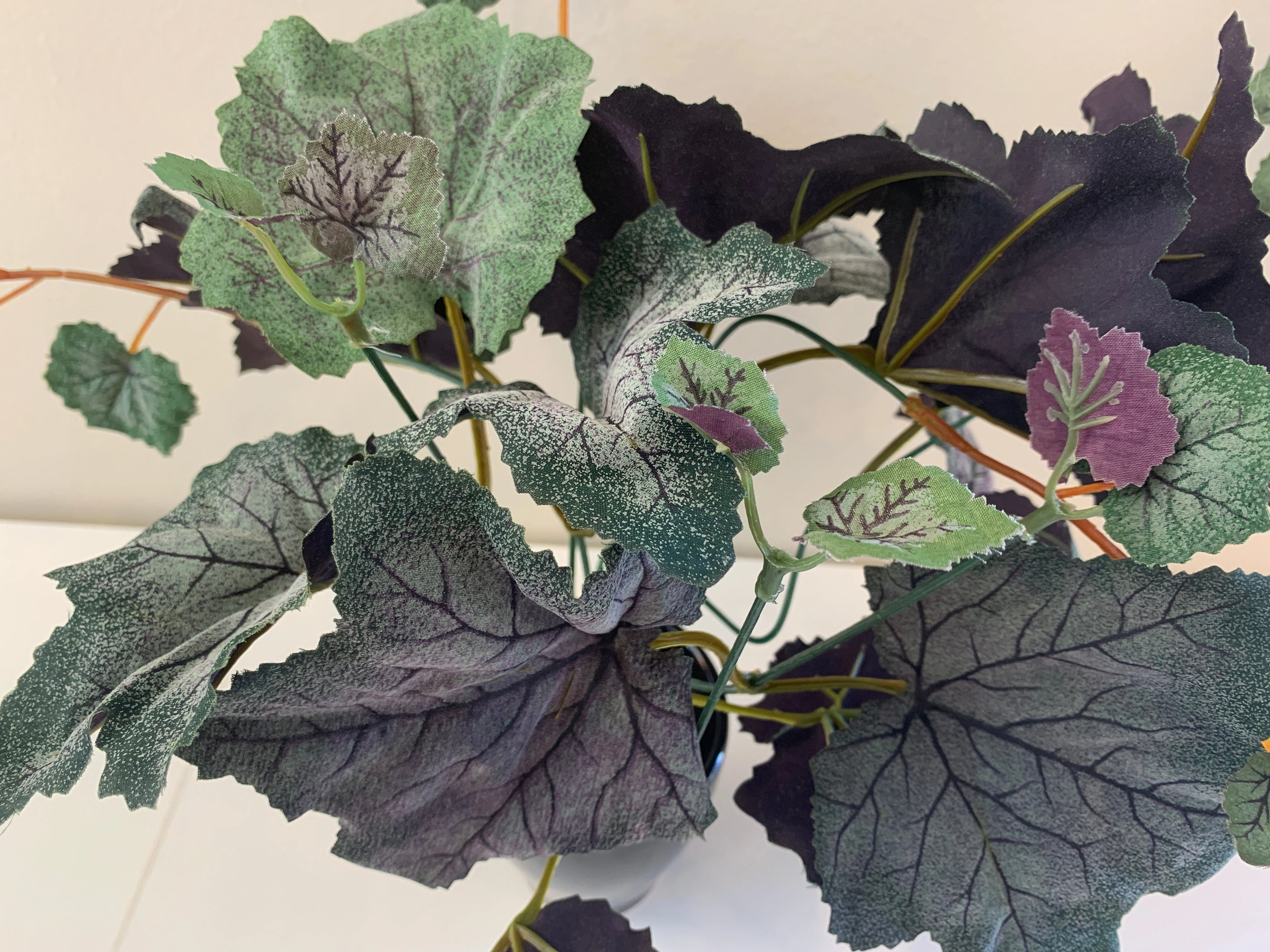 SP0329P Grape Vine Plant with Tendrils (CLEARANCE STOCK) 32cm Purple