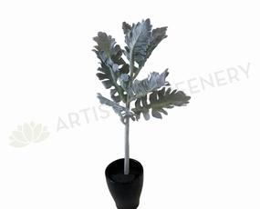 SP0335 Grey Dusty Miller / Silver Ragwort Foliage 39cm xl flower pot  
