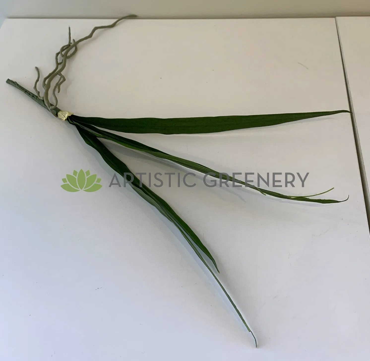 SP0337 Cymbidium Orchid Leaves Bunch 50cm Real Touch