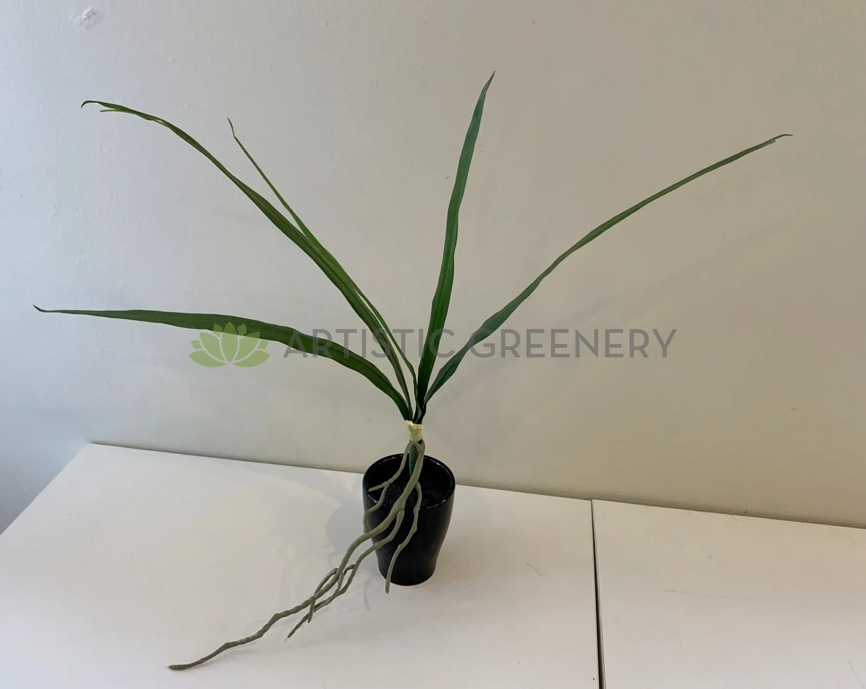SP0337 Cymbidium Orchid Leaves Bunch 50cm Real Touch