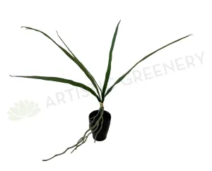 SP0337 Cymbidium Orchid Leaves Bunch 50cm Real Touch dried green plant  