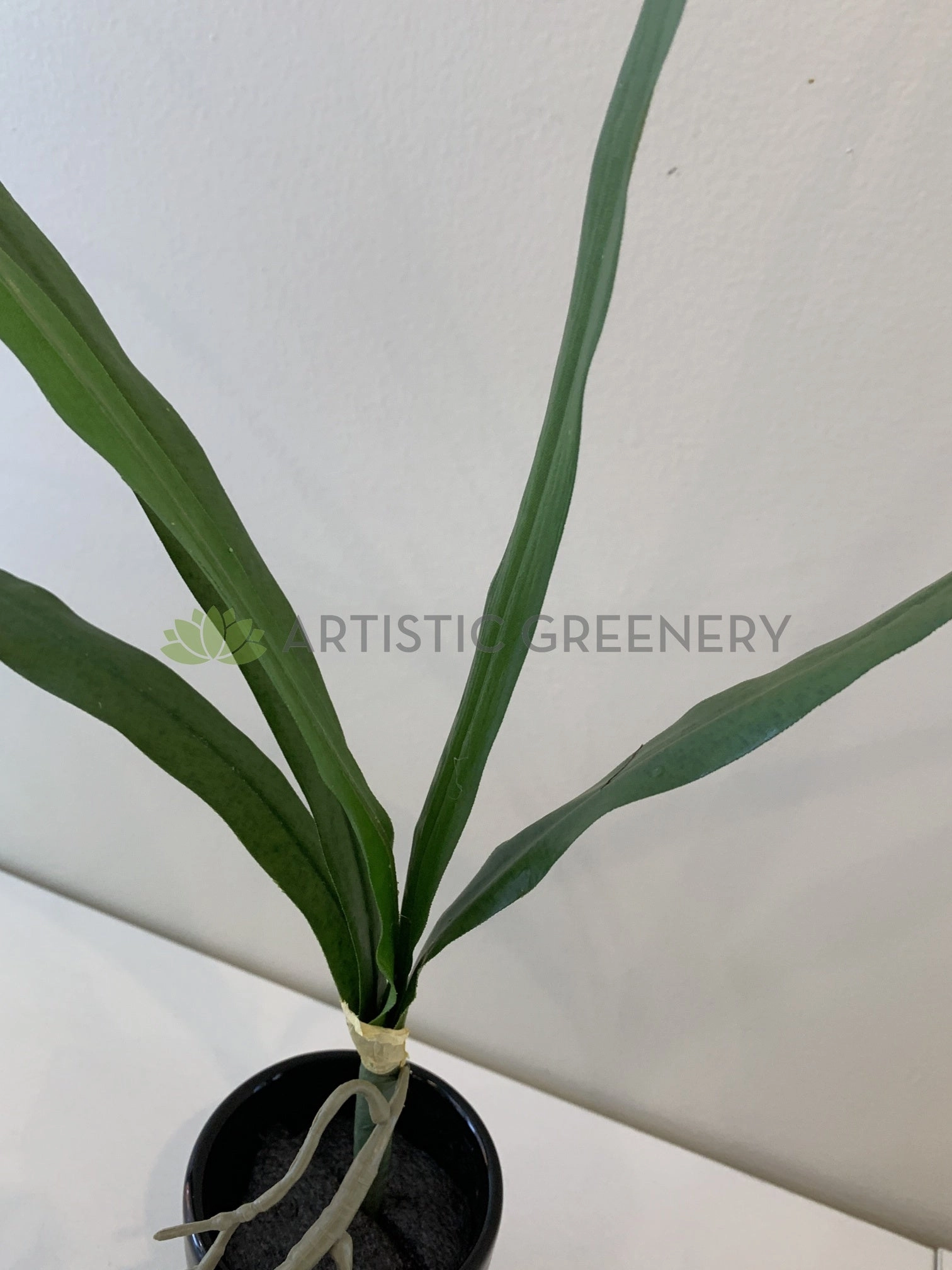 SP0337 Cymbidium Orchid Leaves Bunch 50cm Real Touch
