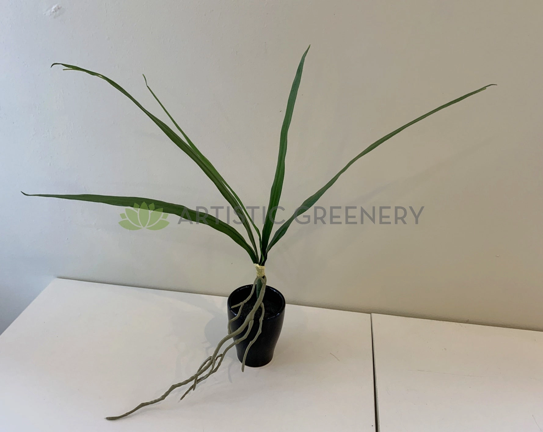 SP0337 Cymbidium Orchid Leaves Bunch 50cm Real Touch