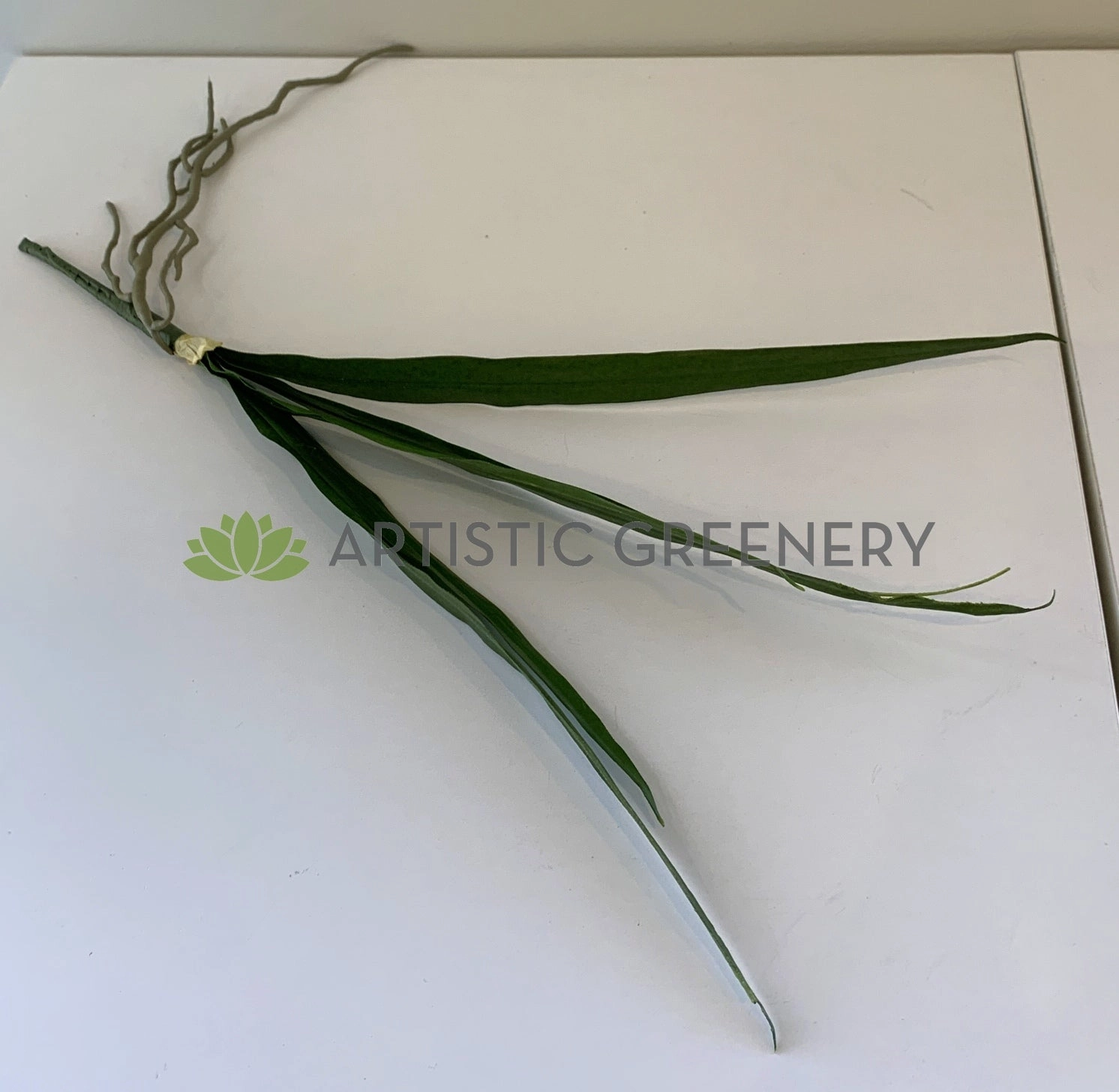 SP0337 Cymbidium Orchid Leaves Bunch 50cm Real Touch