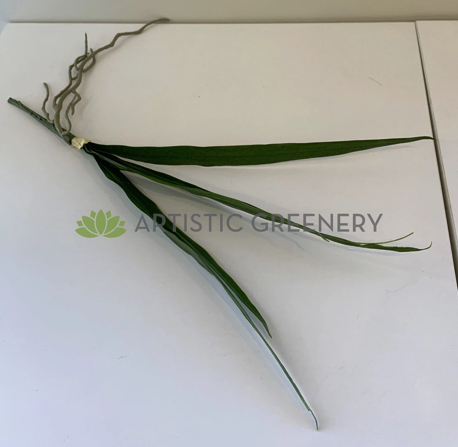 SP0337 Cymbidium Orchid Leaves Bunch 50cm Real Touch