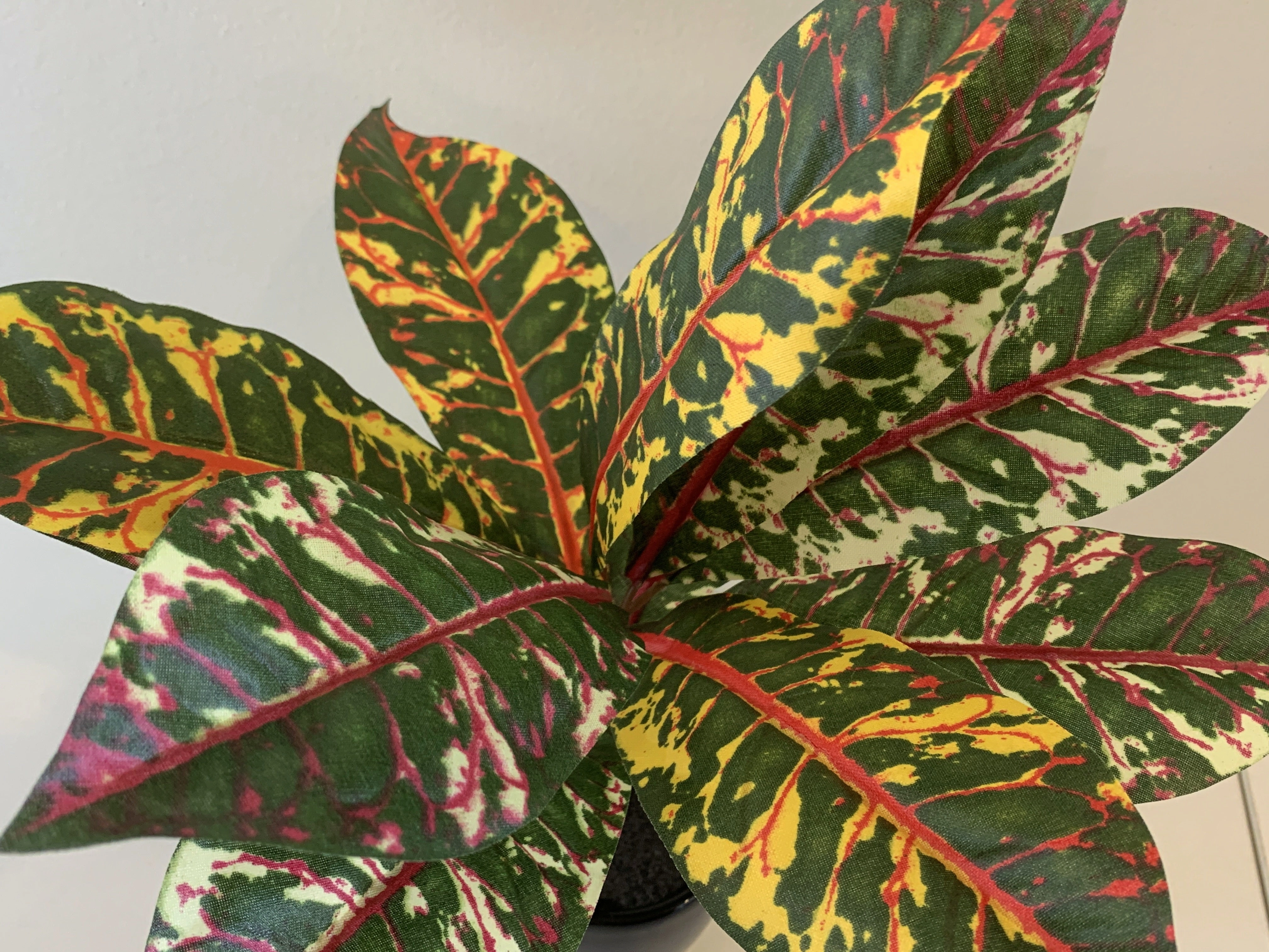 SP0339 Red Croton Plant 33cm