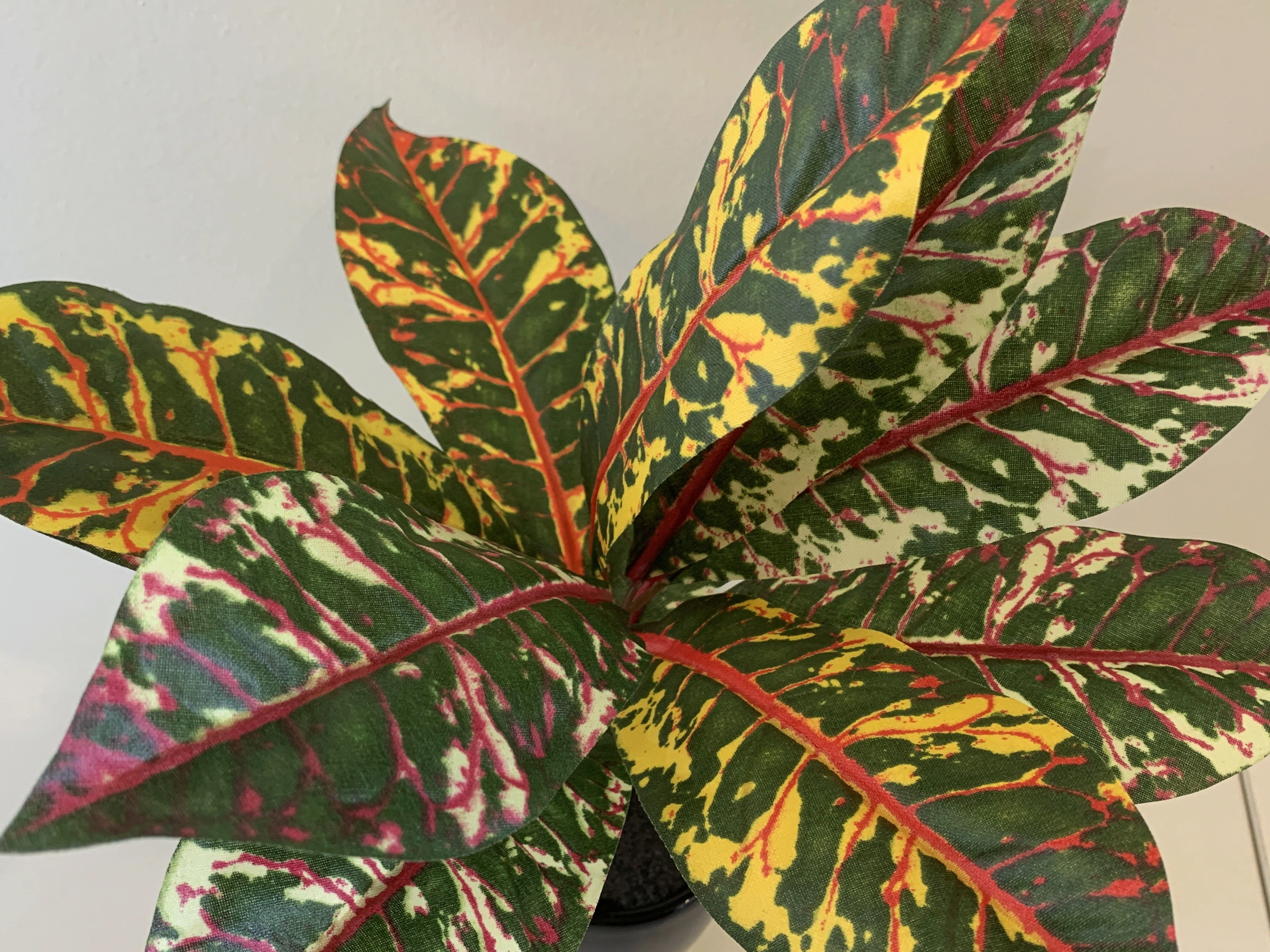 SP0339 Red Croton Plant 33cm
