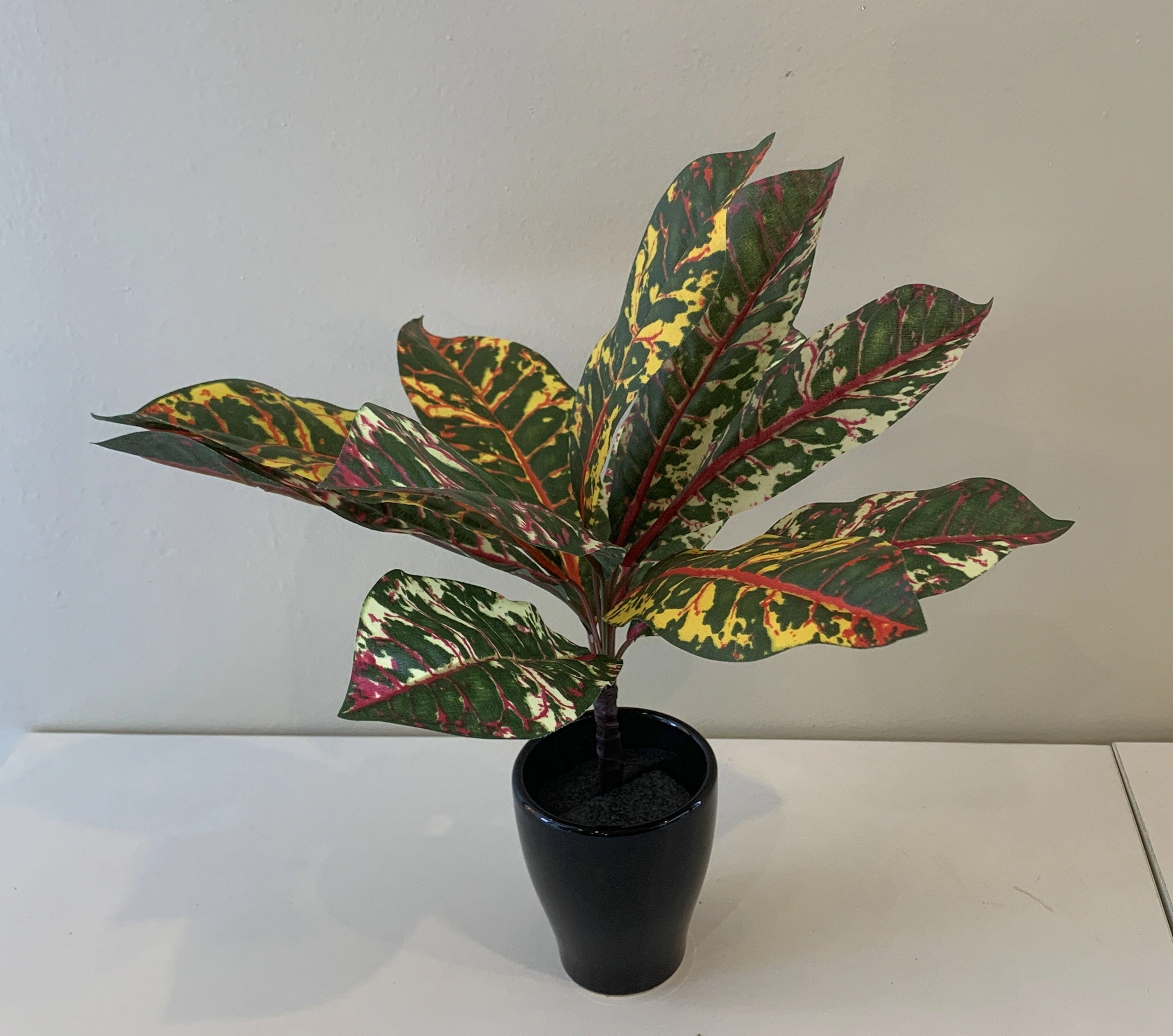 SP0339 Red Croton Plant 33cm