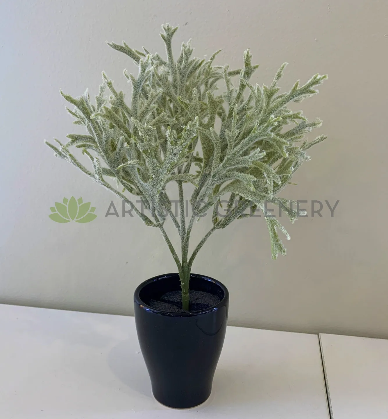 SP0344 Small Staghorn / Antlers Plant 31cm