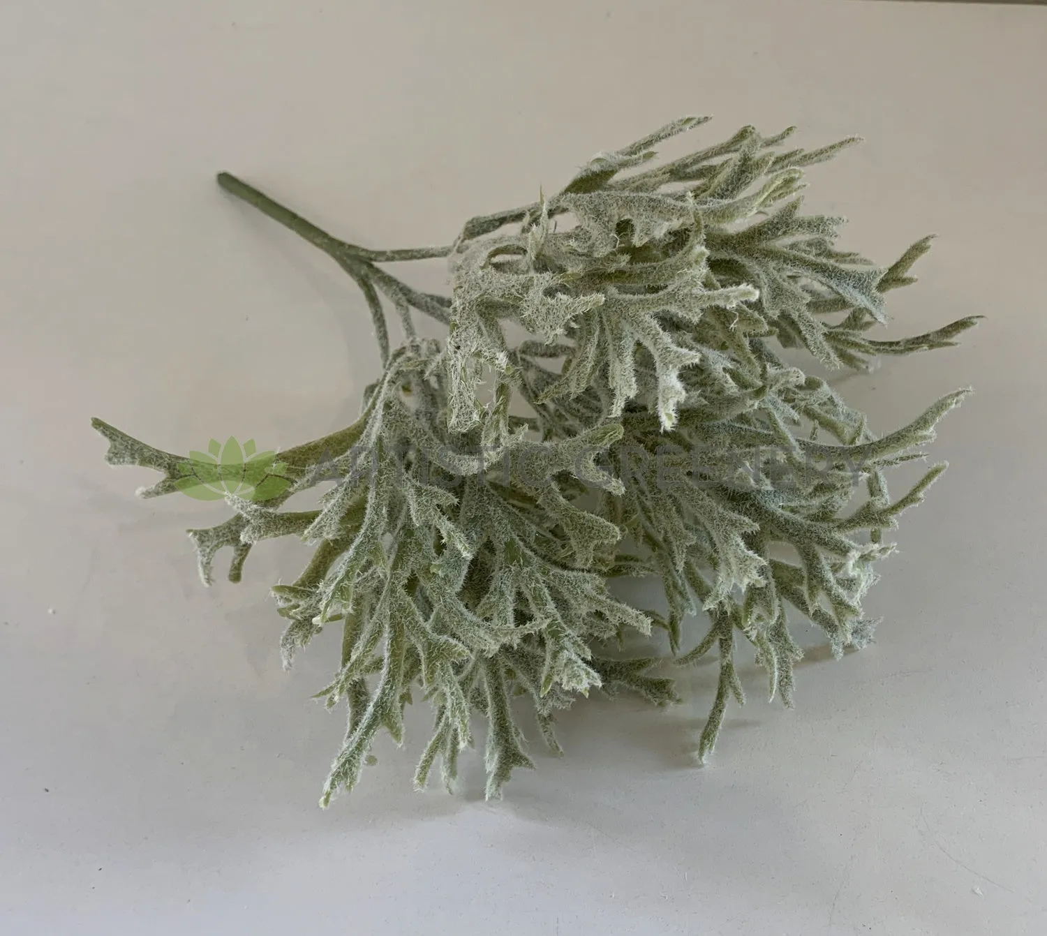 SP0344 Small Staghorn / Antlers Plant 31cm
