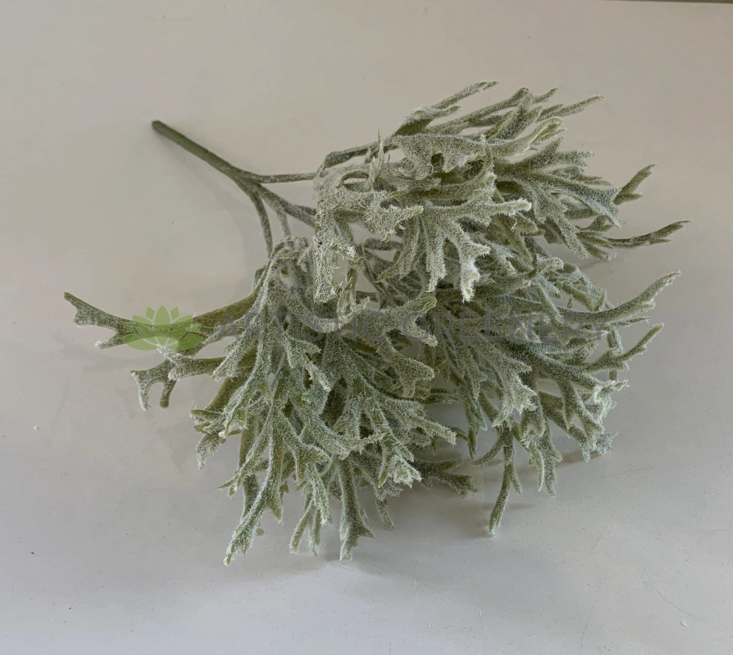 SP0344 Small Staghorn / Antlers Plant 31cm