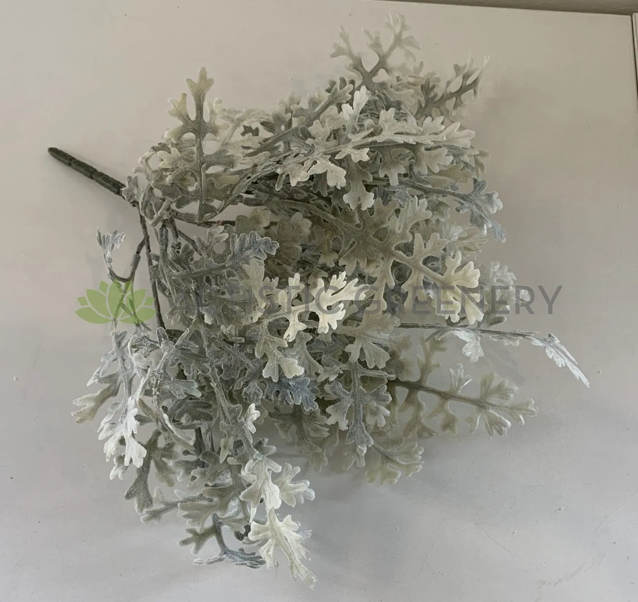 SP0345 Dusty Miller Plant 32cm