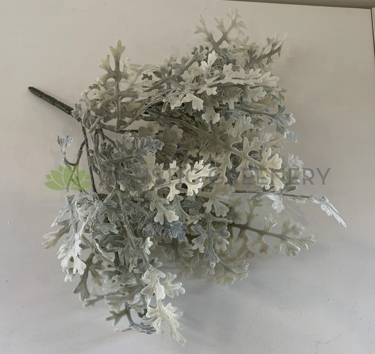 SP0345 Dusty Miller Plant 32cm