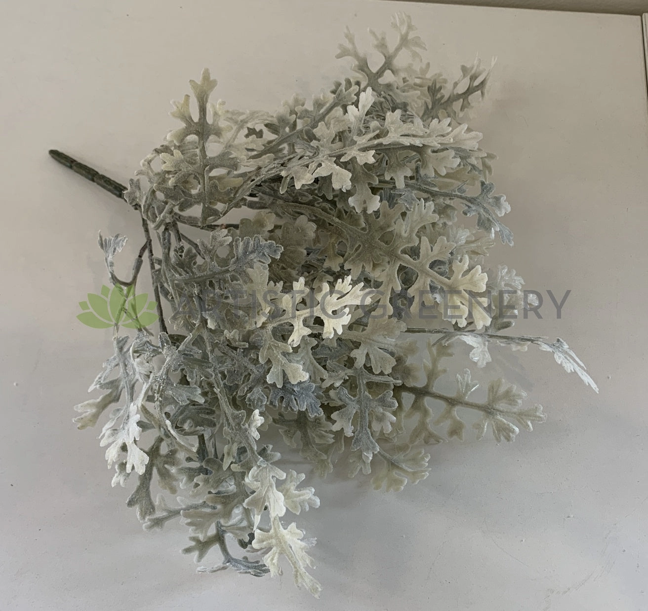 SP0345 Dusty Miller Plant 32cm