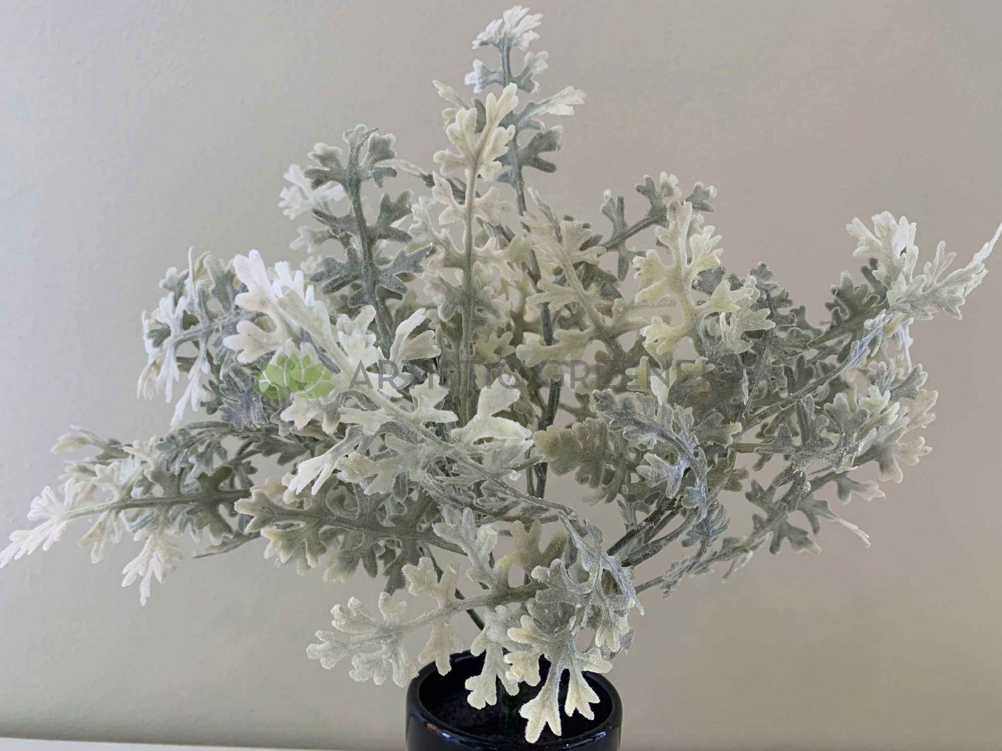 SP0345 Dusty Miller Plant 32cm