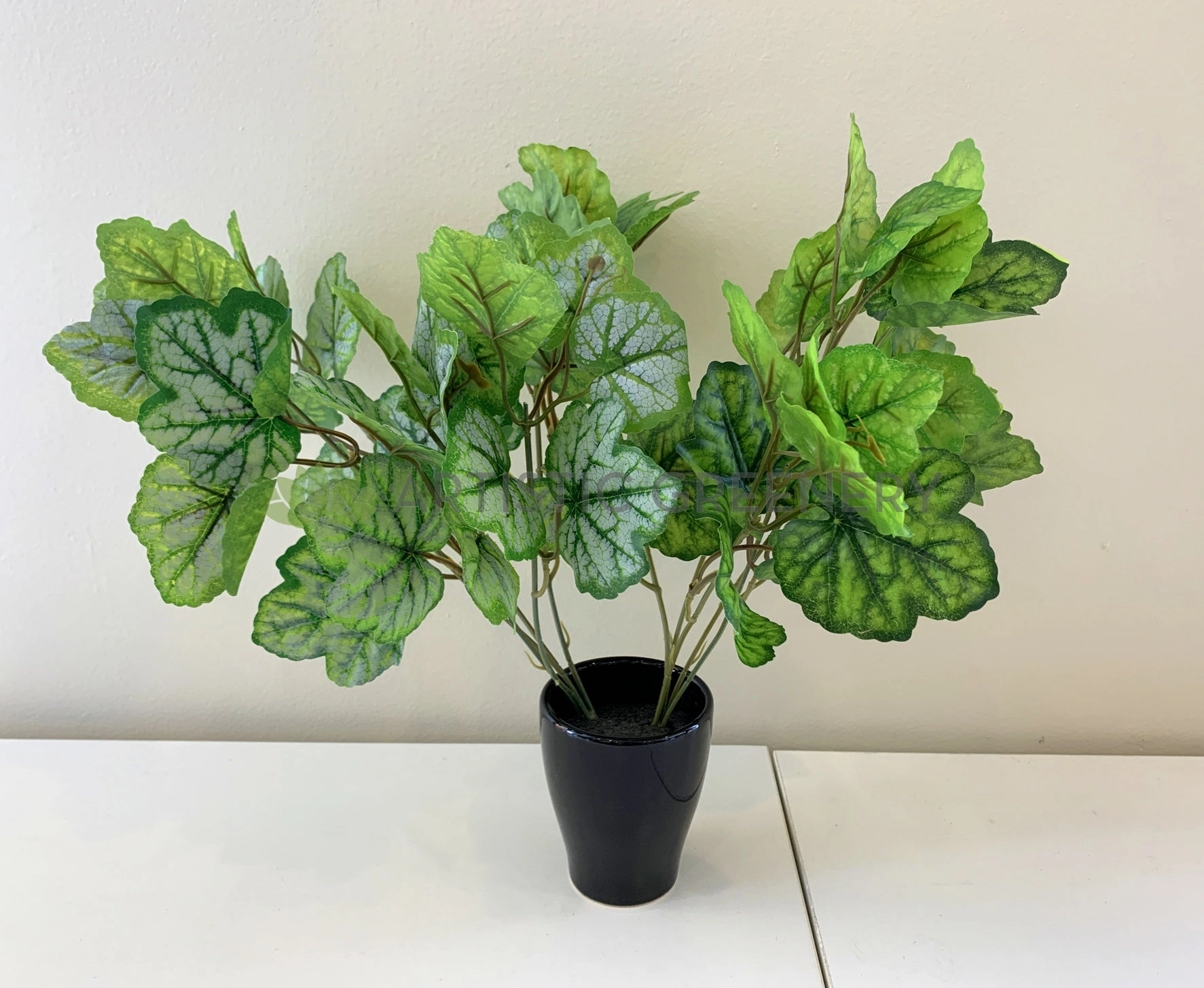 SP0359 Calathea Plant 37cm 2 Styles