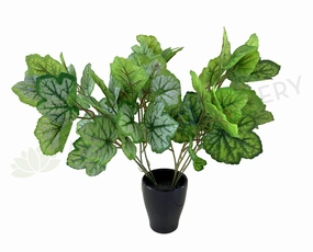 SP0359 Calathea Plant 37cm 2 Styles indoor plant stand  