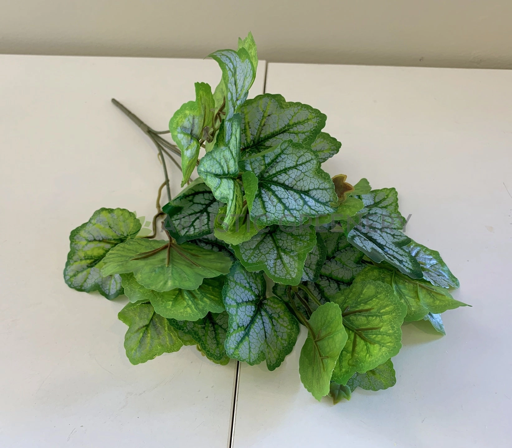 SP0359 Calathea Plant 37cm 2 Styles